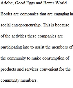 Social Entrepreneurship Assignment